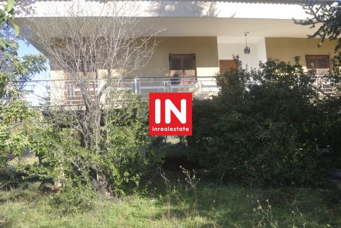 _DSC6216 [inrealestate.gr-property-nomos-fokidos-polydroso-parnasos-delfoi-INR00530]