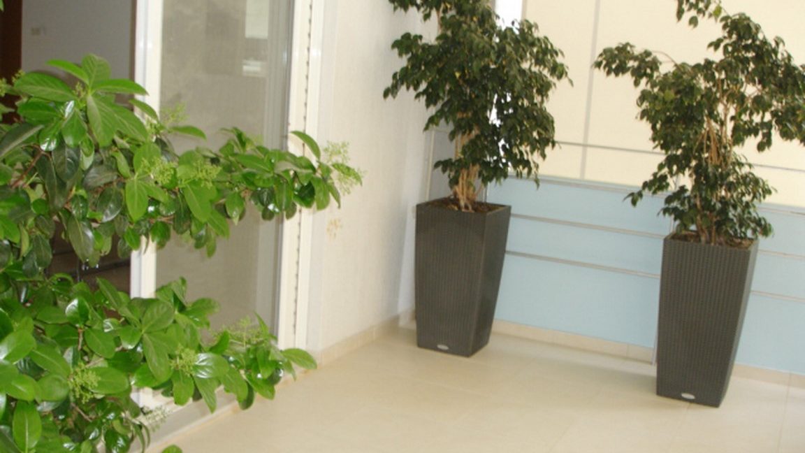 DSC05189 (Αντιγραφή)