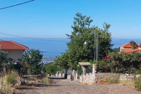 20220704_091517 (Αντιγραφή)