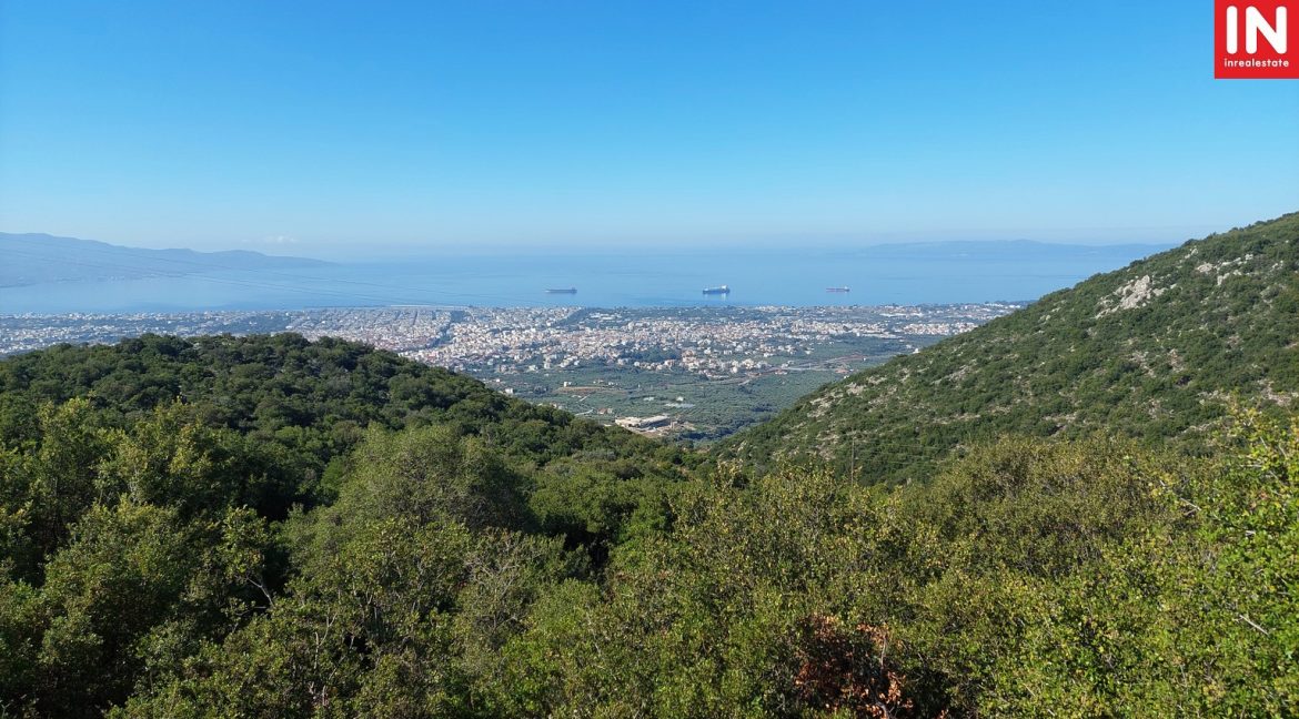 20220704_092705 (Αντιγραφή)