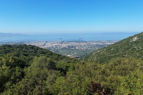 20220704_092705 (Αντιγραφή)