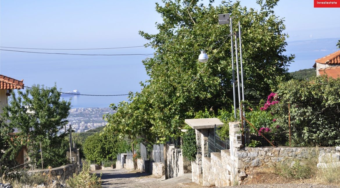 _DSC0828 (Αντιγραφή)