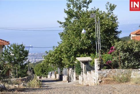 _DSC0828 (Αντιγραφή)