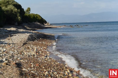 DSC_1466 (Αντιγραφή)