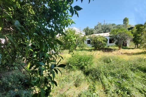 oikopedo.agia.paraskevi.kalamata01 (Αντιγραφή)