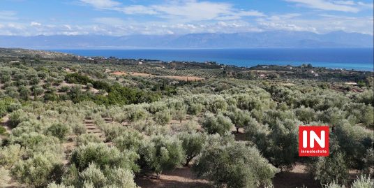 ΧΡΑΝΟΙ ΜΕΣΣΗΝΙΑΣ ΠΩΛΕΙΤΑΙ ΑΓΡΟΚΤΗΜΑ