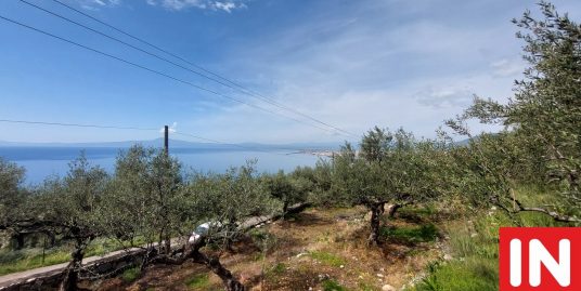 ΚΑΛΑΜΑΤΑ  ΒΕΡΓΑ ΑΓΙΑ ΣΙΩΝ ΠΩΛΕΙΤΑΙ ΟΙΚΟΠΕΔΟ