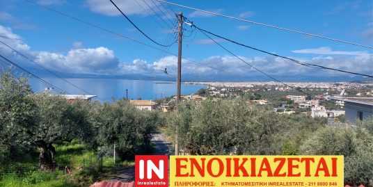 ΕΝΟΙΚΙΑΖΕΤΑΙ ΚΑΛΑΜΑΤΑ | Κ.ΒΕΡΓΑ