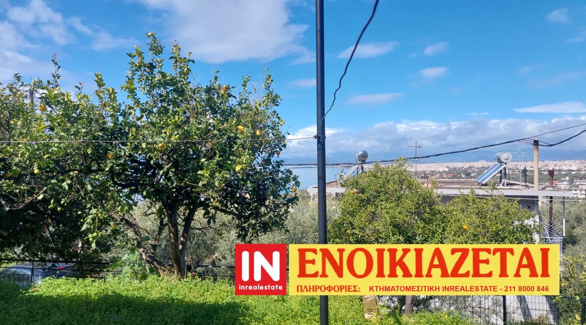 for rent.kalamata.filoxenia087