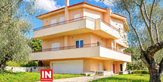 FOR SALE IN MIKRI MANTINEIA KALAMATA