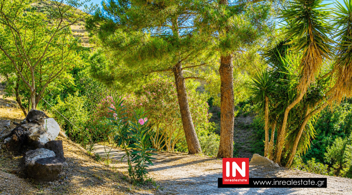 mani-areopoli-for-sale- (16)