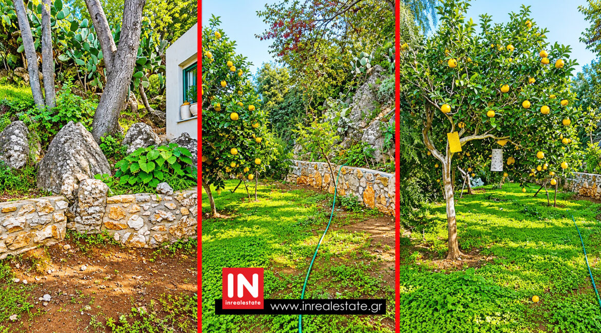 mani-areopoli-for-sale- (20)