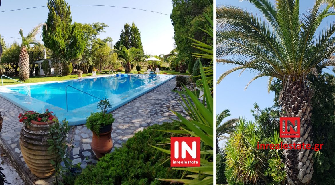 for-sale-evia-oreoi10