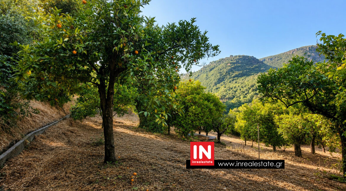 perivolakia-kalamata-house-for-sale (15)