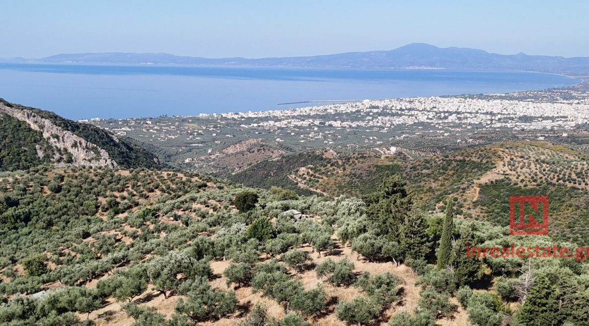 perivolakia.kalamatas.inrealestate01in (2)