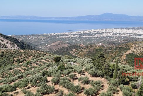 perivolakia.kalamatas.inrealestate01in (2)
