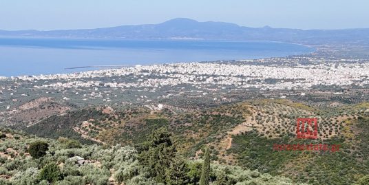 ΠΩΛΕΙΤΑΙ ΑΓΡΟΚΤΗΜΑ ΚΑΛΑΜΑΤΑ ΠΕΡΙΒΟΛΑΚΙΑ