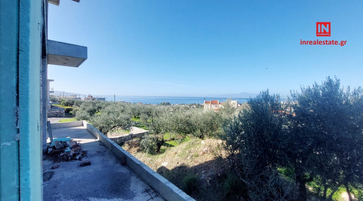 for-sale-agriomata-verga-kalamata-inrealestate (10)