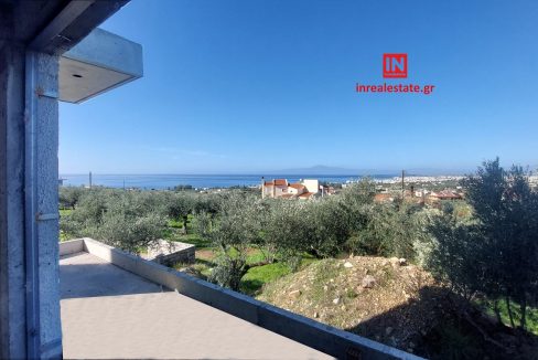 for-sale-agriomata-verga-kalamata-inrealestate (14)