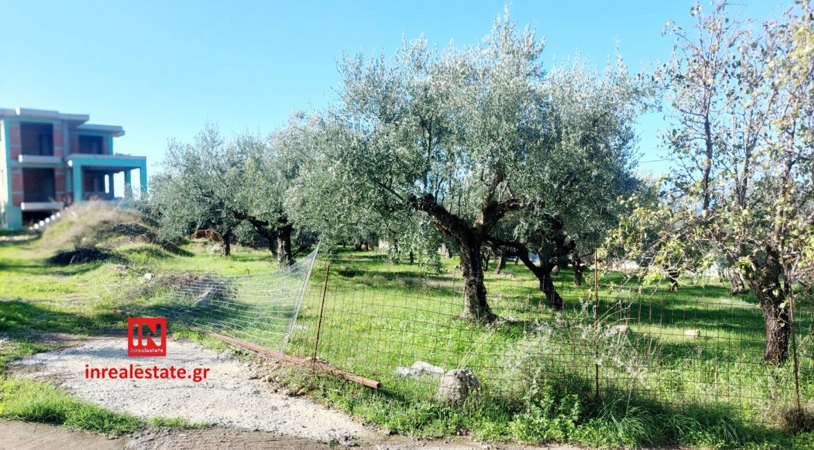 for-sale-agriomata-verga-kalamata-inrealestate (15)
