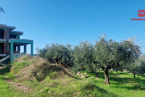 for-sale-agriomata-verga-kalamata-inrealestate (16)