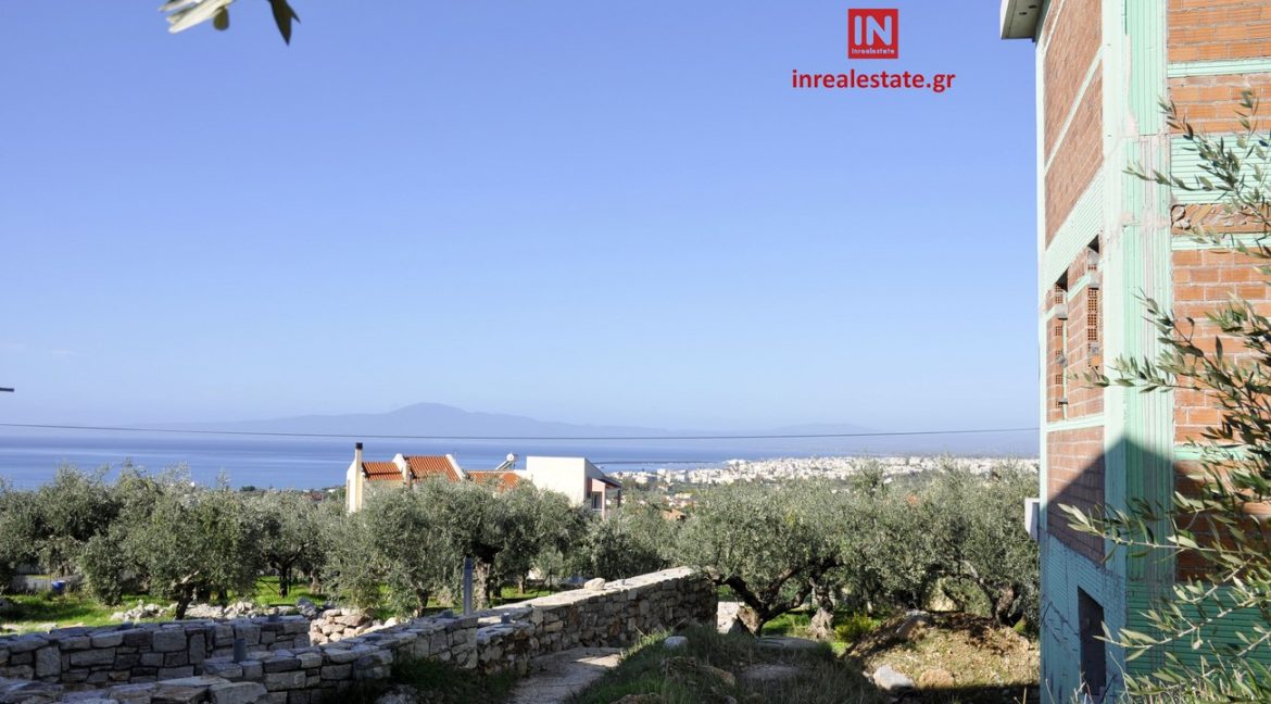 for-sale-agriomata-verga-kalamata-inrealestate (2)