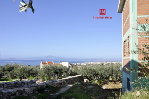 for-sale-agriomata-verga-kalamata-inrealestate (2)