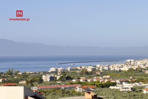 for-sale-agriomata-verga-kalamata-inrealestate (5)