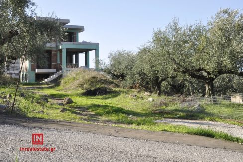 for-sale-agriomata-verga-kalamata-inrealestate (7)
