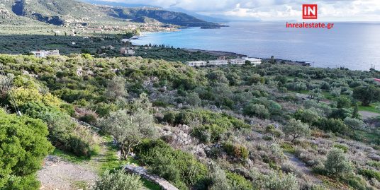 ΠΩΛΕΙΤΑΙ ΚΑΡΔΑΜΥΛΗ ΟΙΚΟΠΕΔΟ