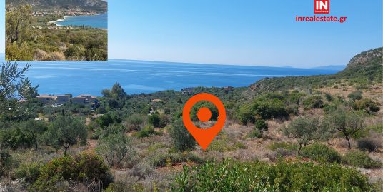 ΠΩΛΕΙΤΑΙ ΚΑΡΔΑΜΥΛΗ ΟΙΚΟΠΕΔΟ