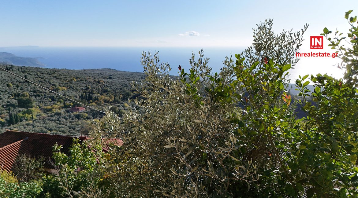 for-sale-saidona- old -stone-built house-inrealestate.gr(172)