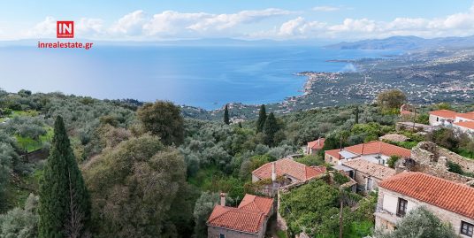 ΠΩΛΕΙΤΑΙ ΟΙΚΙΑ ΜΑΝΗ ΠΛΑΤΣΑ