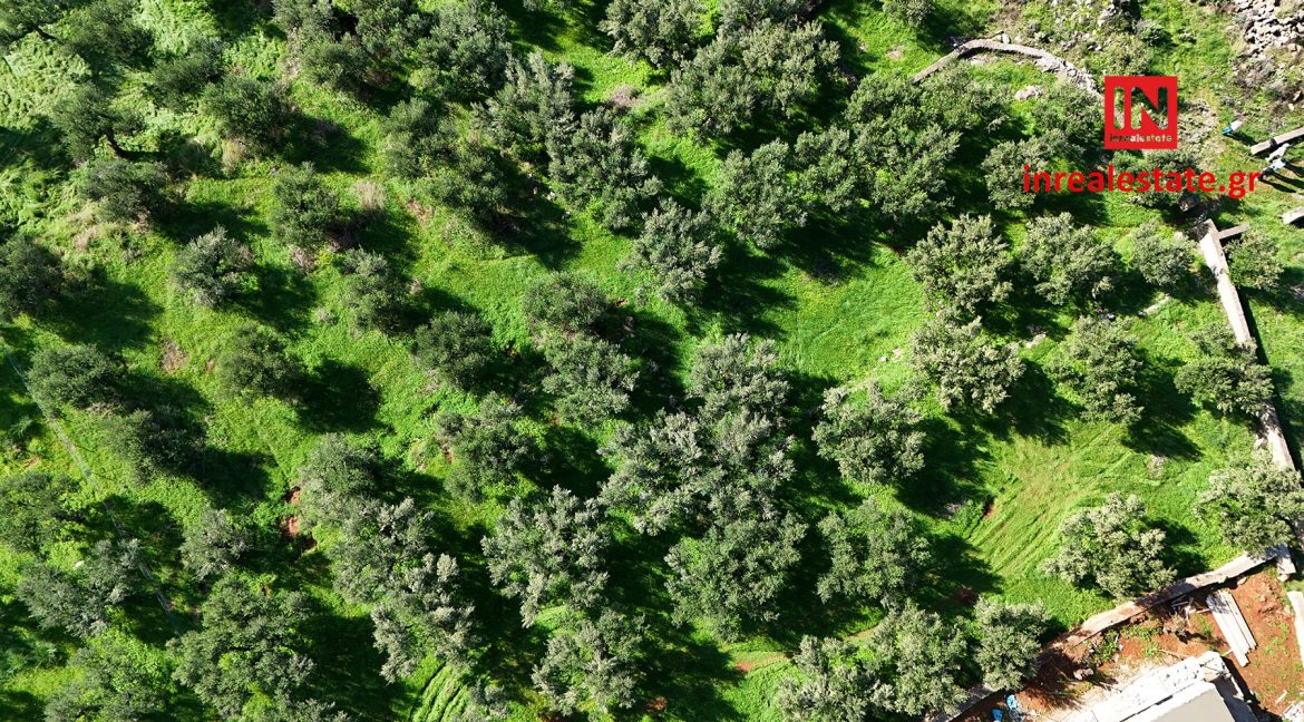 pantazi-ag.nikolaos-lefktro-mani-plot (1)