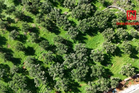 pantazi-ag.nikolaos-lefktro-mani-plot (1)