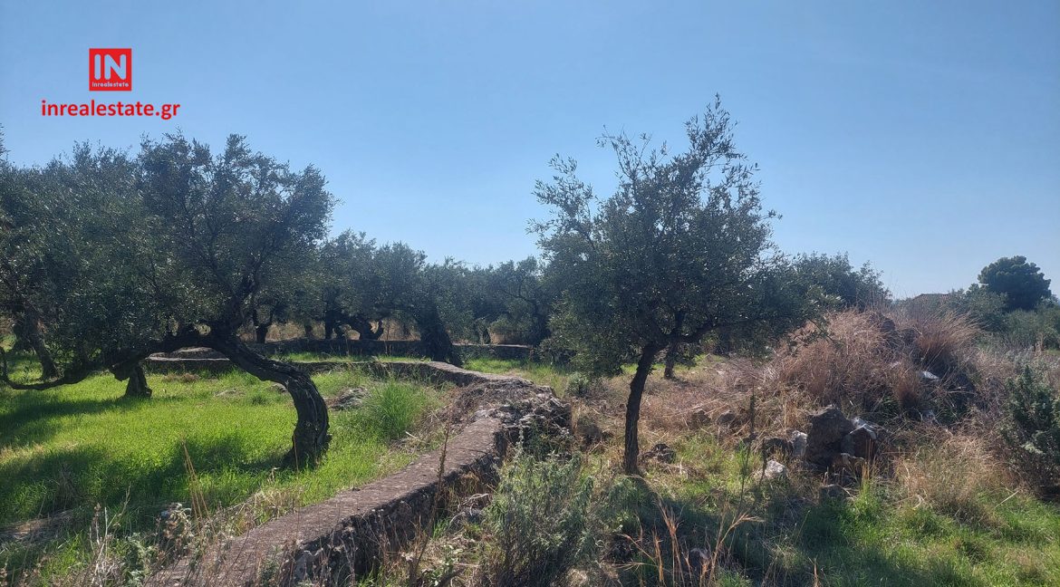 pantazi-ag.nikolaos-lefktro-mani-plot-b (6)