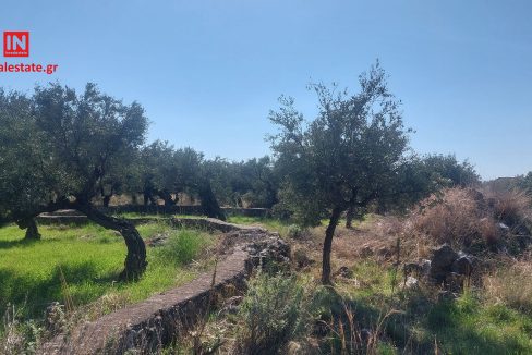 pantazi-ag.nikolaos-lefktro-mani-plot-b (6)