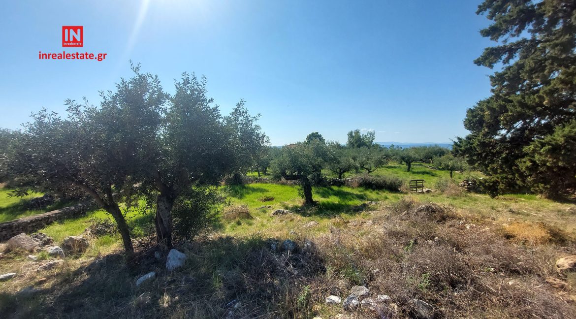 pantazi-ag.nikolaos-lefktro-mani-plot-b (8)