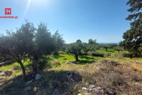 pantazi-ag.nikolaos-lefktro-mani-plot-b (8)