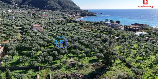 ΠΩΛΕΙΤΑΙ ΟΙΚΟΠΕΔΟ ΑΓ. ΝΙΚΟΛΑΟΣ ΛΕΥΚΤΡΟΥ