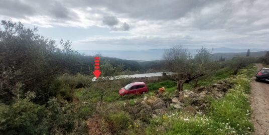 ΠΩΛΕΙΤΑΙ ΟΙΚΟΠΕΔΟ ΚΑΣΤΑΝΙΑ ΜΑΝΗΣ