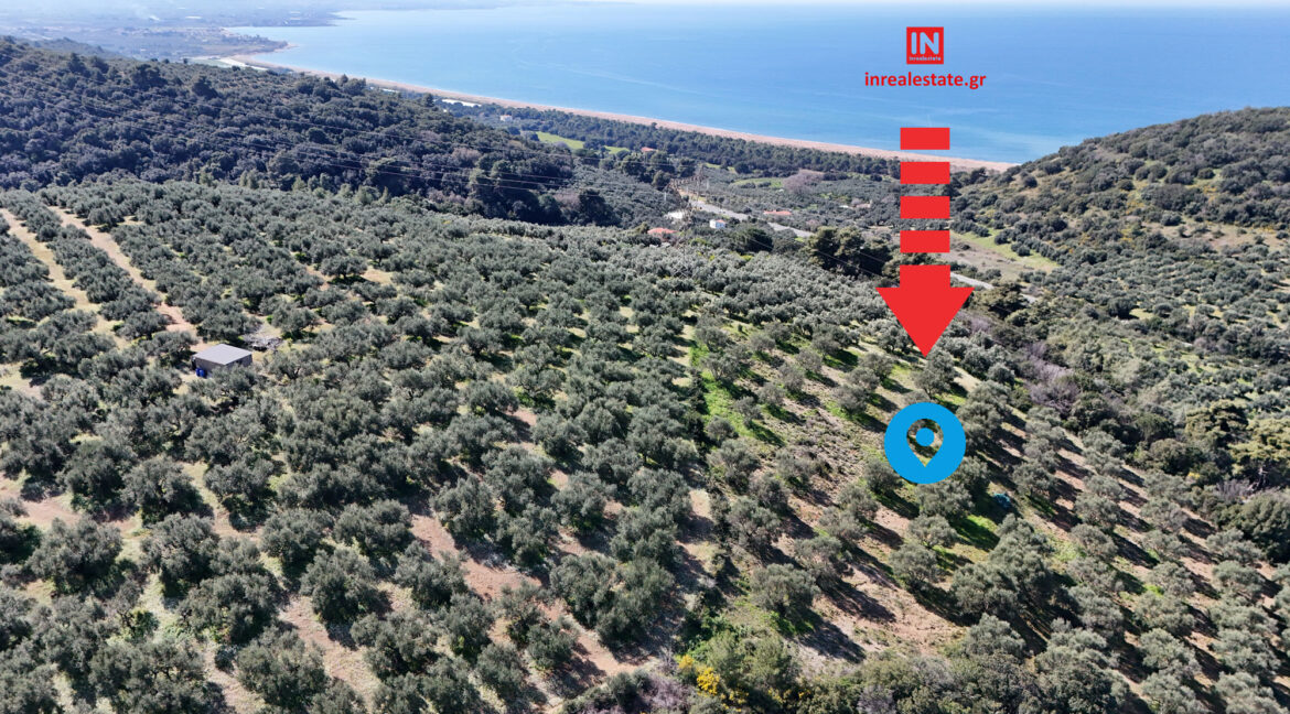 plot-for-sale-vounaki-messinia001-(14)