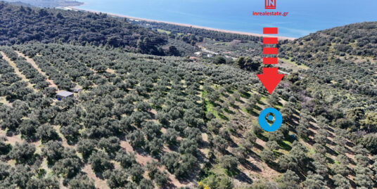 ΠΩΛΕΙΤΑΙ ΟΙΚΟΠΕΔΟ ΒΟΥΝΑΚΙ ΤΡΙΦΥΛΙΑΣ