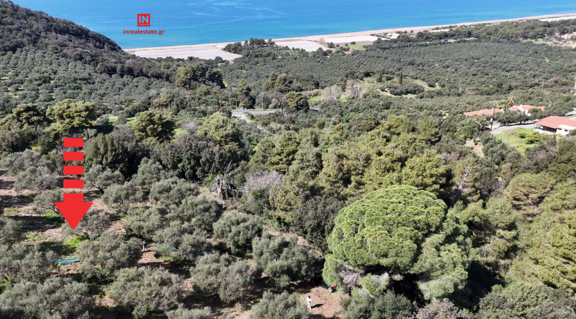 plot-for-sale-vounaki-messinia001-(16)