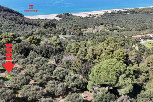 plot-for-sale-vounaki-messinia001-(16)