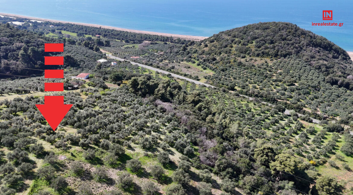 plot-for-sale-vounaki-messinia001-(17)