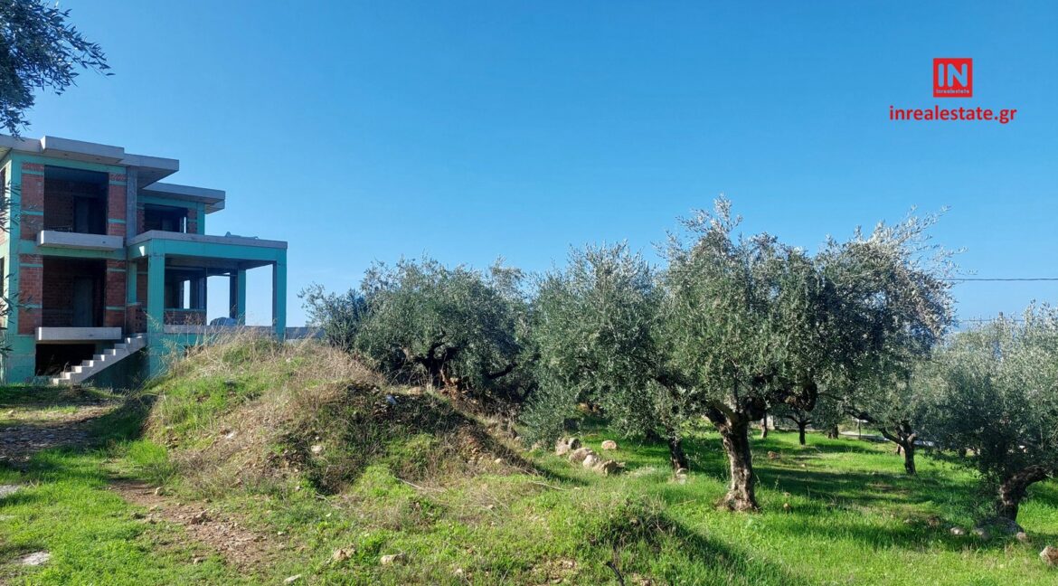 for-sale-agriomata-verga-kalamata-inrealestate (16)