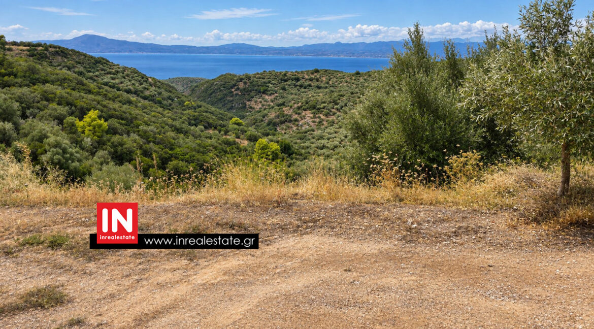 avia-mantineia-for-sale-inrealestate (2)