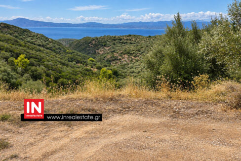 avia-mantineia-for-sale-inrealestate (2)