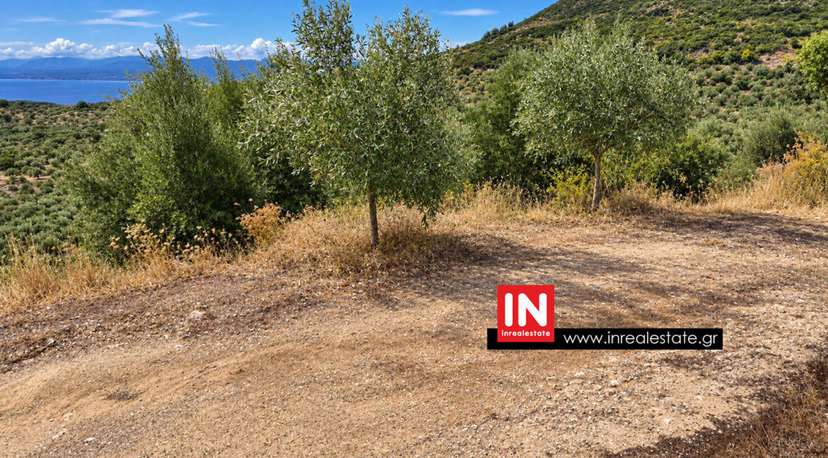 avia-mantineia-for-sale-inrealestate (3)